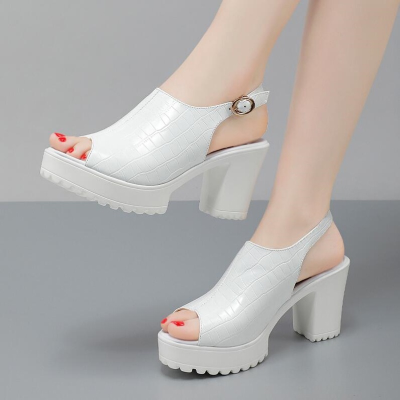 Kadın Küçük Boyutu 32-43 Zarif - Women Fashion Model incelemesi ve fiyatı